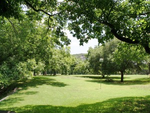 Alternate View