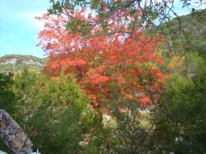 photo-0002