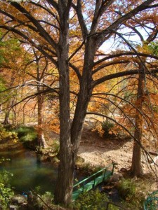 photo-0007